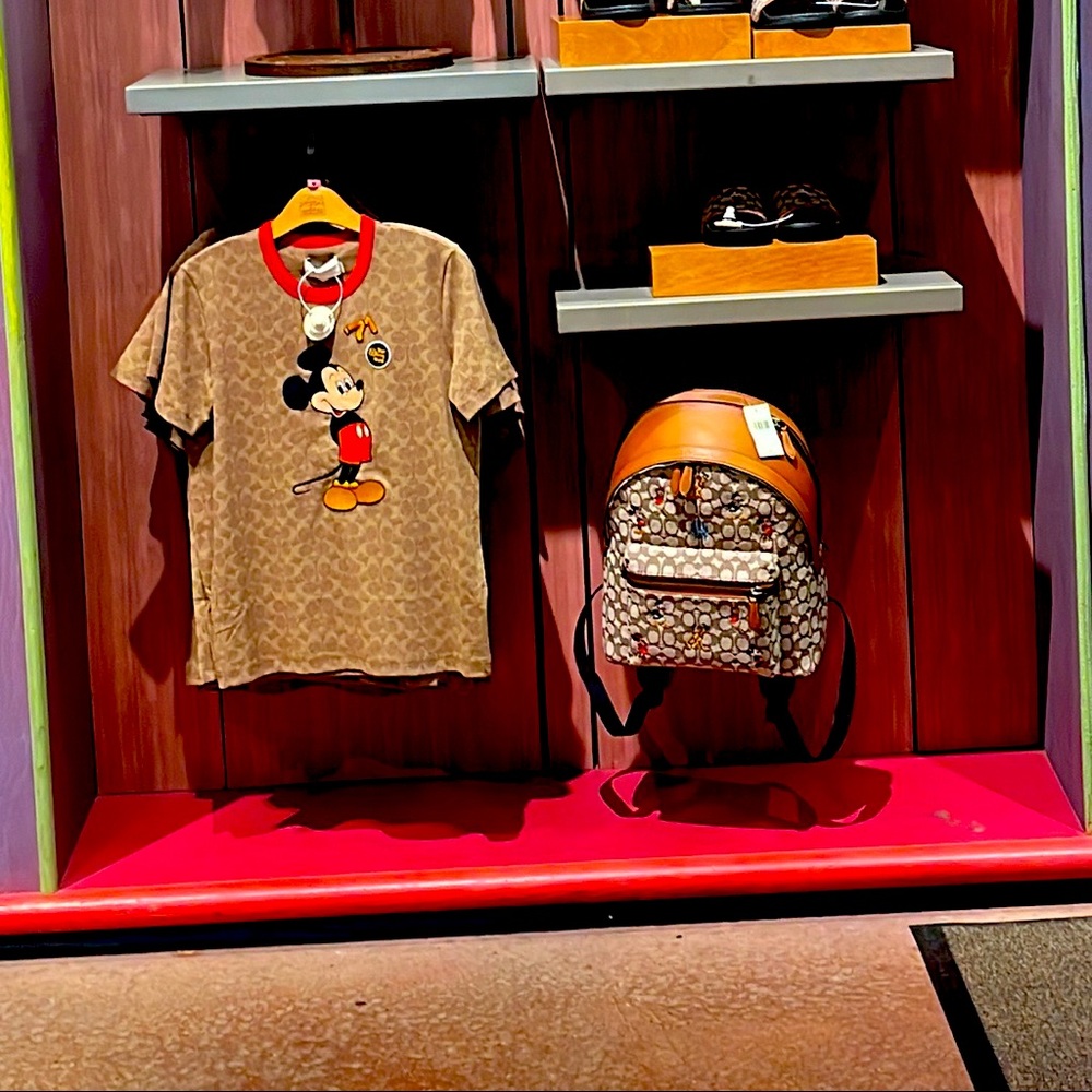 Disney x Coach 50 year Anniversary Backpack